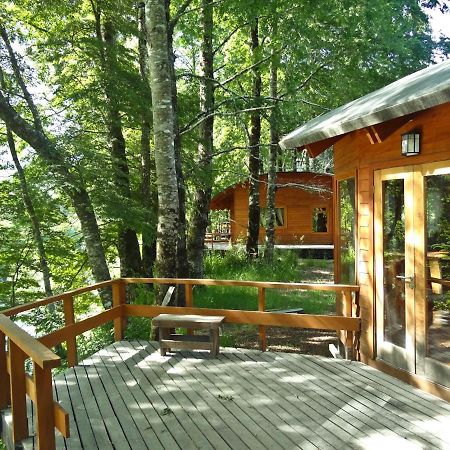 Patagonia Mawida Villa Neltume Exterior photo