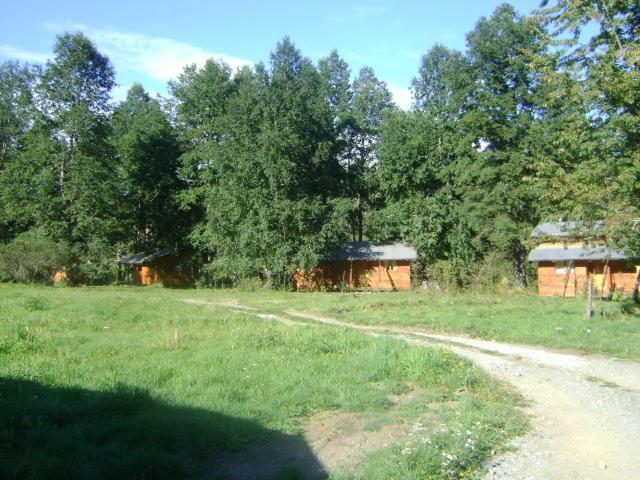 Patagonia Mawida Villa Neltume Exterior photo