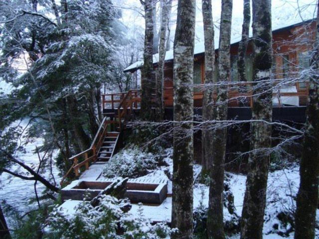 Patagonia Mawida Villa Neltume Exterior photo