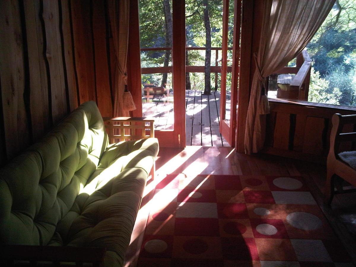 Patagonia Mawida Villa Neltume Exterior photo