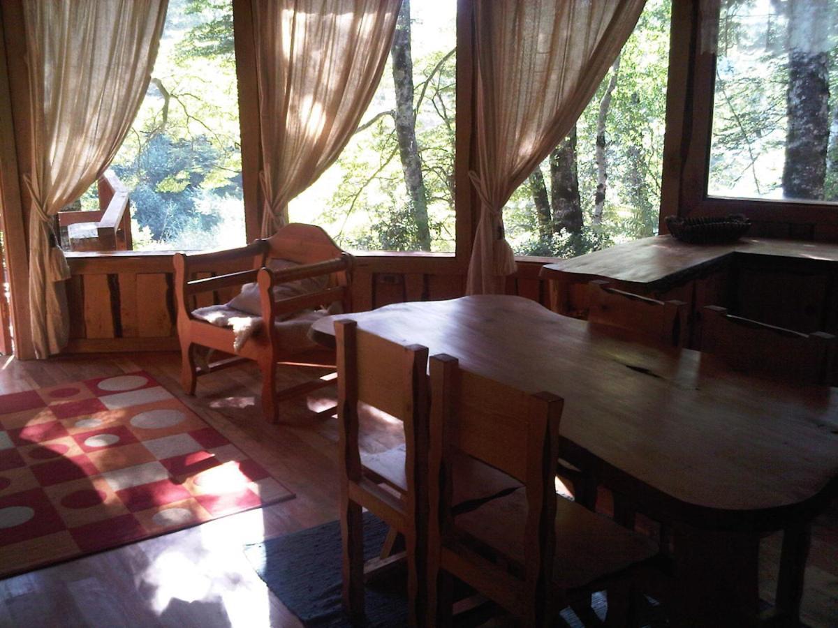 Patagonia Mawida Villa Neltume Exterior photo